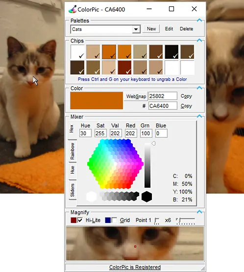 ColorPic picking a color from the screen